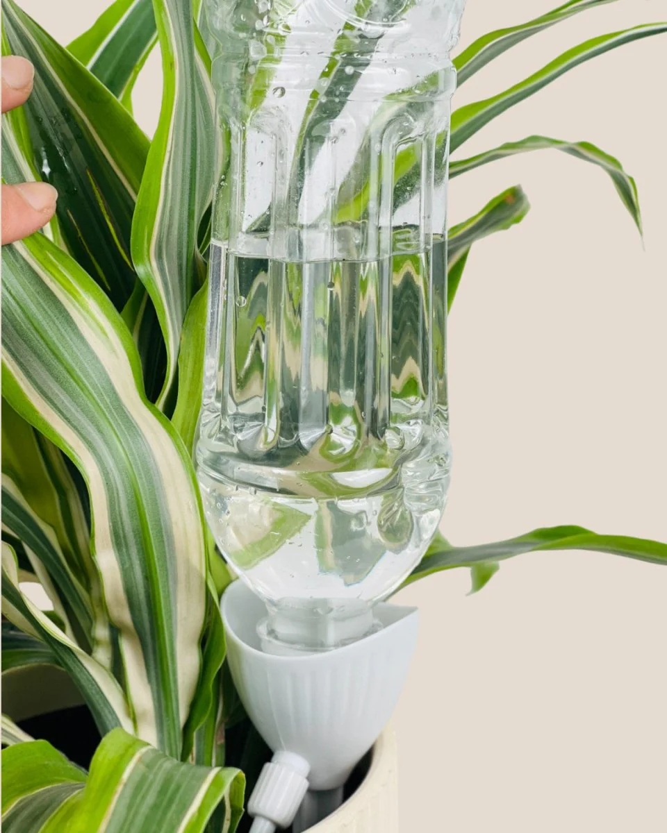 Self Watering Dripper - Image 8