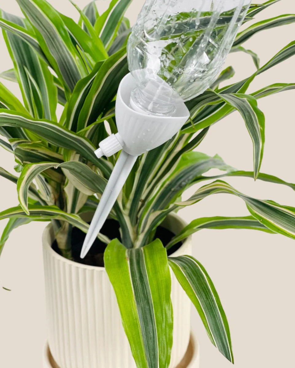Self Watering Dripper - Image 9