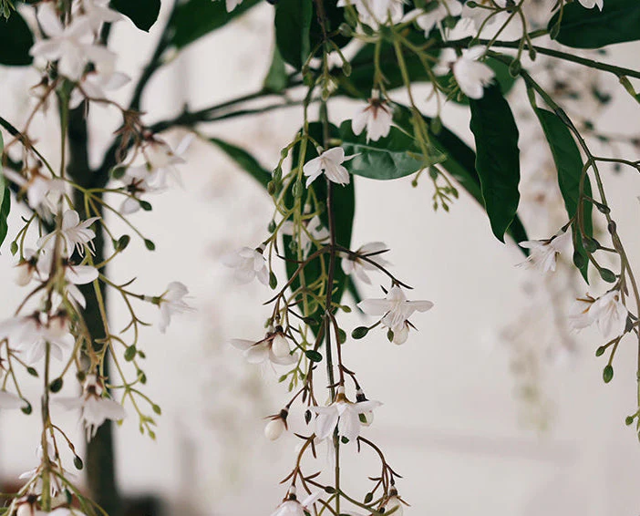 Silk Jasmine (Life-like Artificial) - Image 6