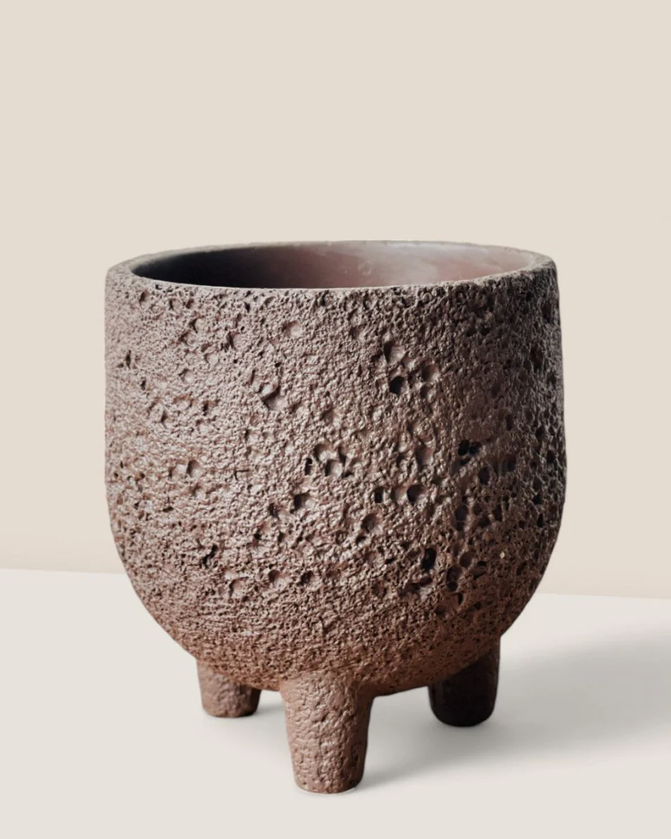 Anya Cement Pot - Small - Image 11