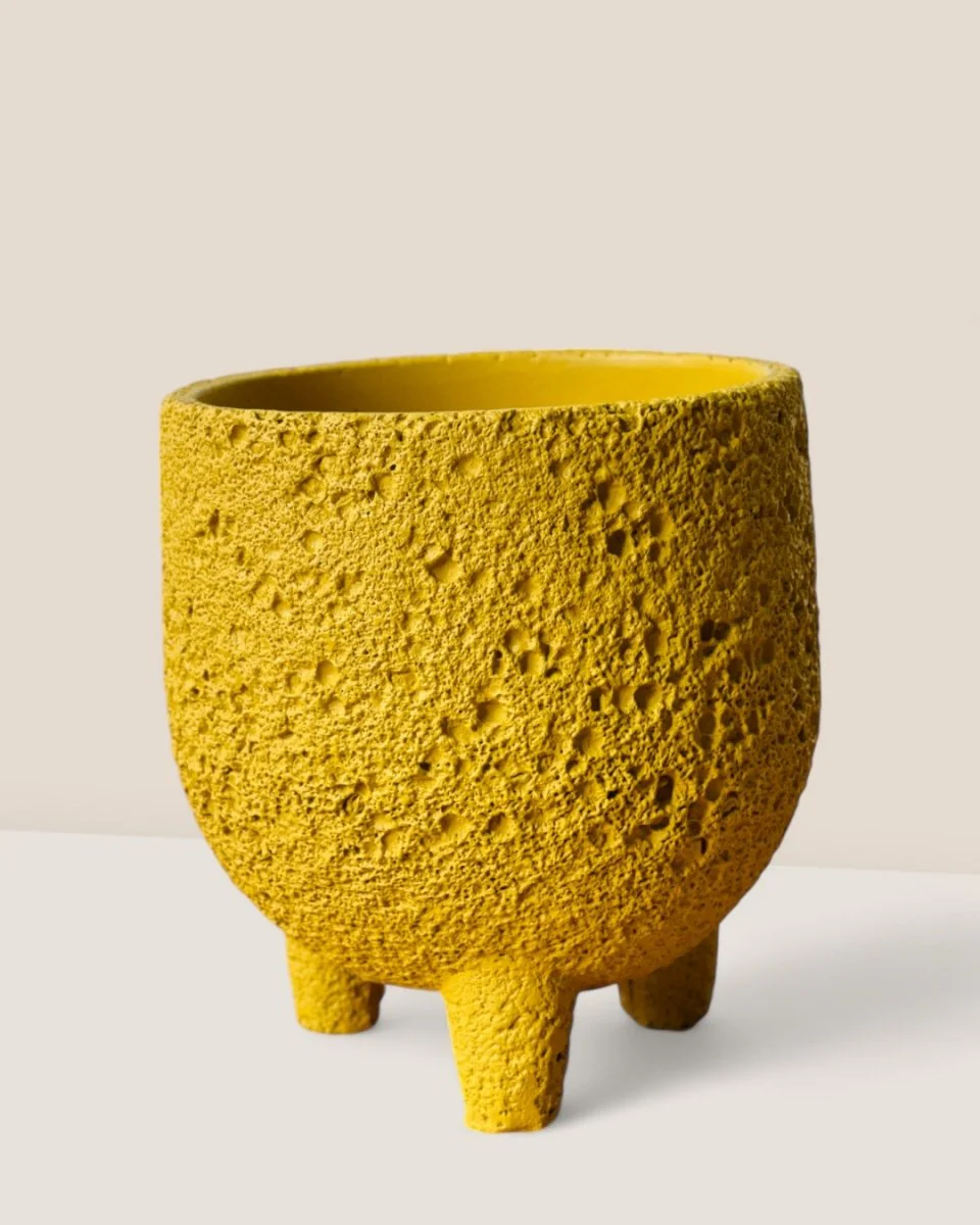 Anya Cement Pot - Small - Image 12