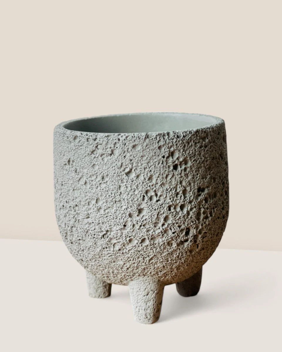 Anya Cement Pot - Small - Image 14