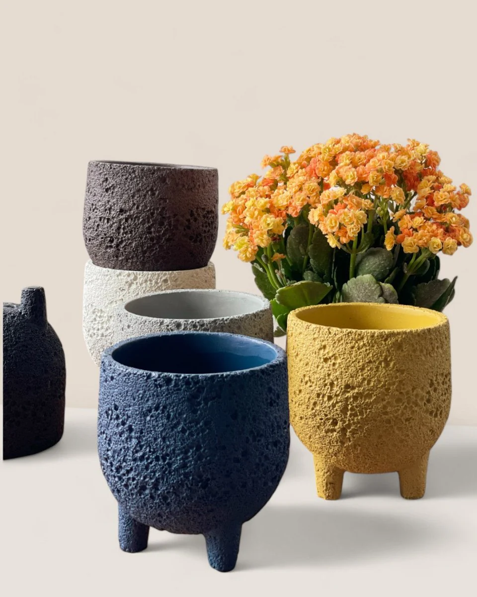 Anya Cement Pot - Small - Image 3