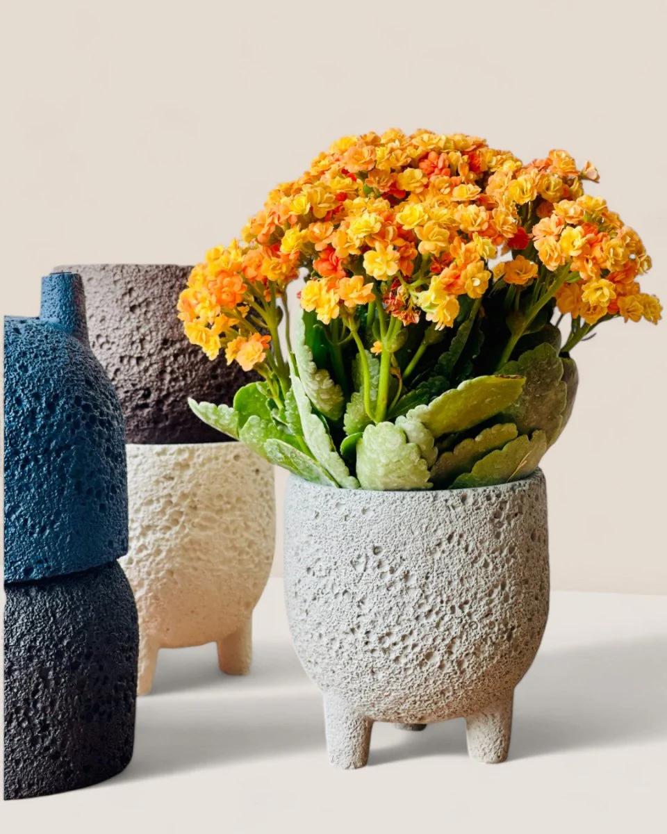 Anya Cement Pot - Small - Image 8