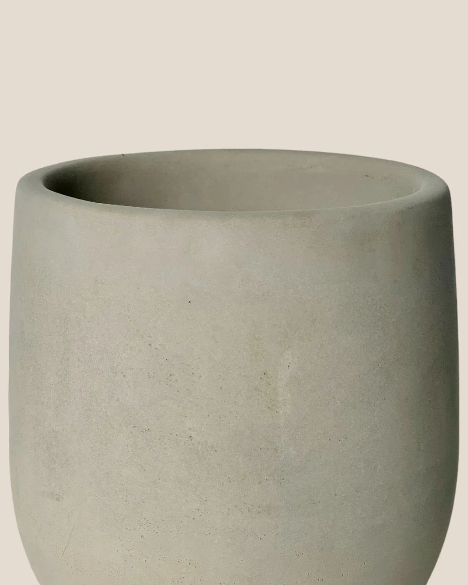 Dusty Grey Cement Planter with Tray - Small - Image 4