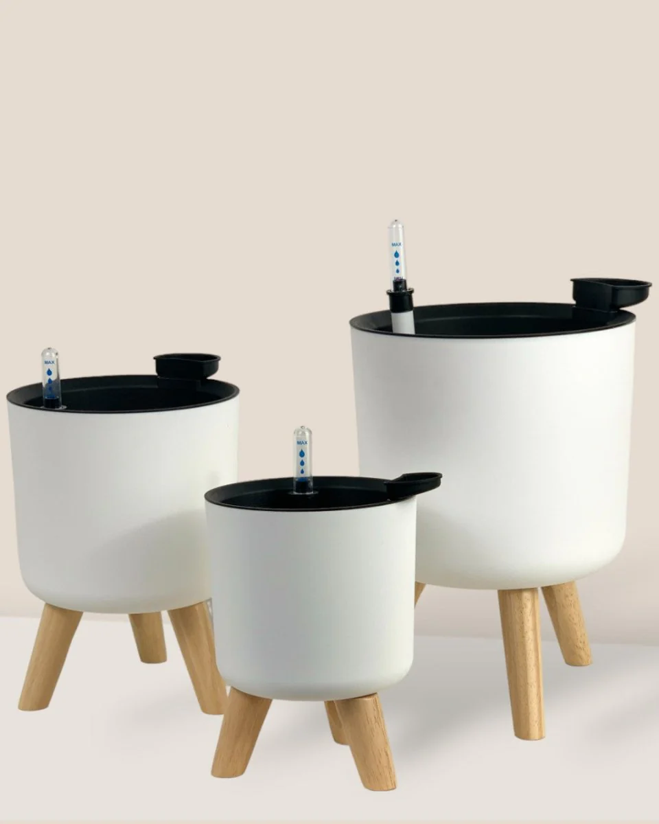 Self Watering Pot with Stand - Small