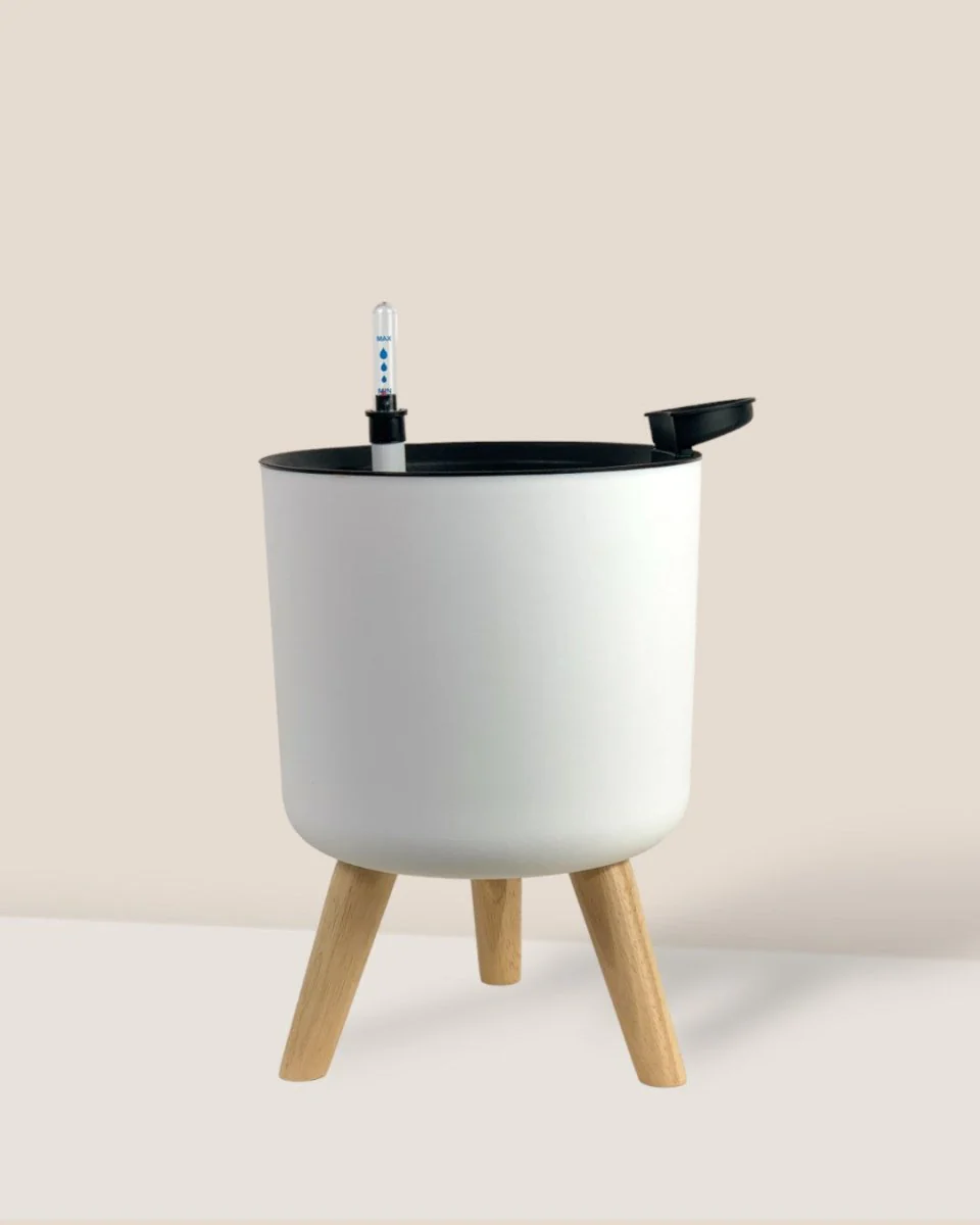 Self Watering Pot with Stand - Small - Image 2