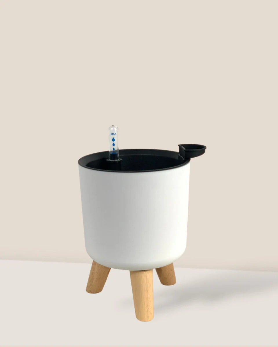 Self Watering Pot with Stand - Small - Image 4