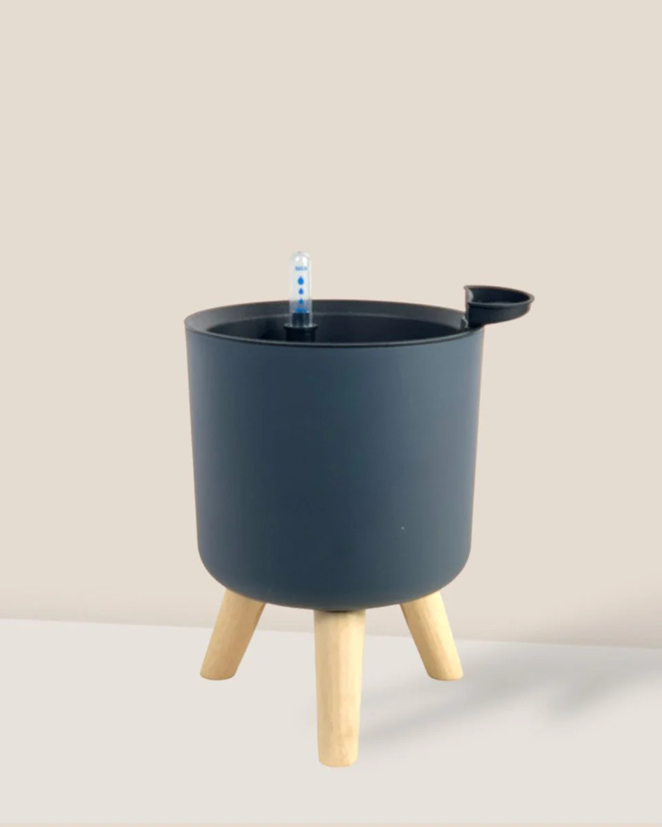 Self Watering Pot with Stand - Small - Image 9