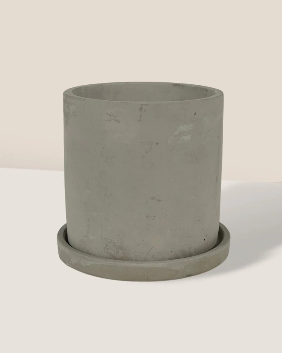 Smoffy Cement Planter - Small