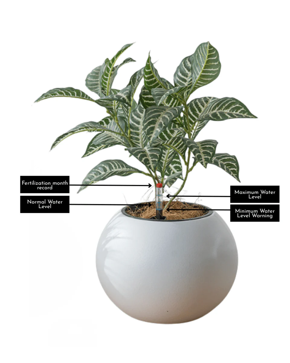 Sphere - HydroEase Pot - Large - Image 2
