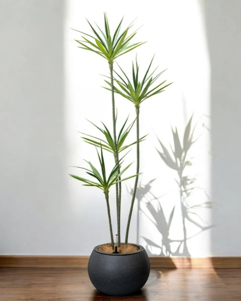 Sphere - HydroEase Pot - Large - Image 4