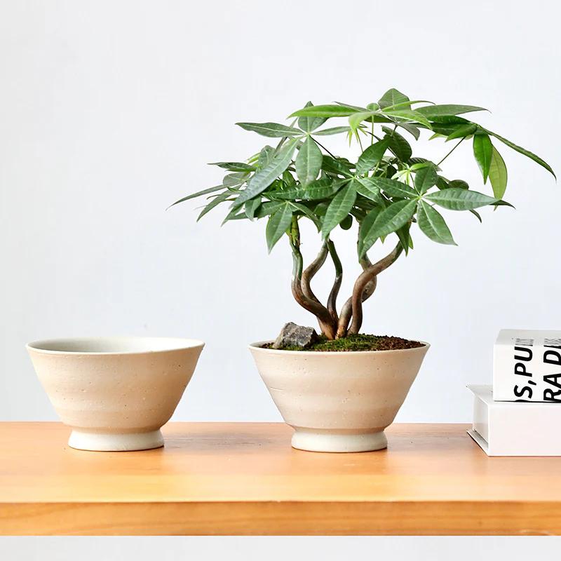 Stout Ceramic Pot - Small - Image 2