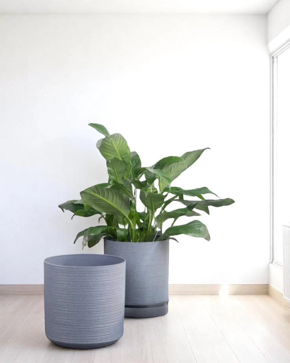 Stria Cylinder Pots - Large