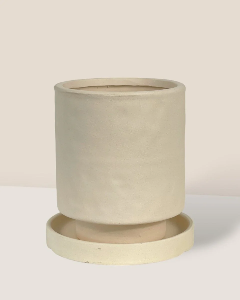 Tall Astra Pot - Medium - Image 11