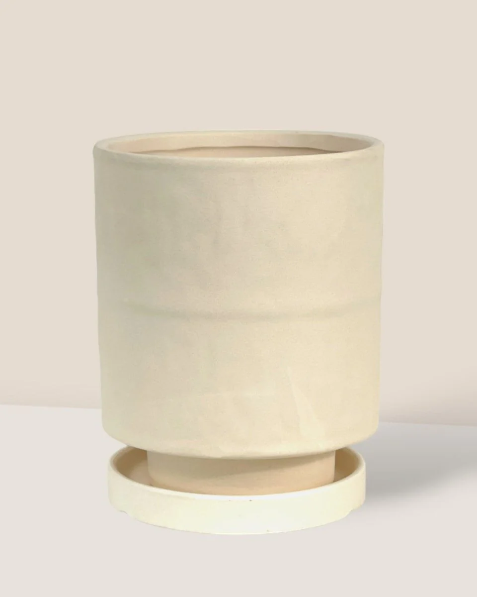 Tall Small Astra Pot - Image 10