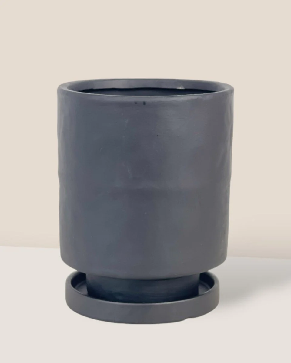 Tall Small Astra Pot - Image 13