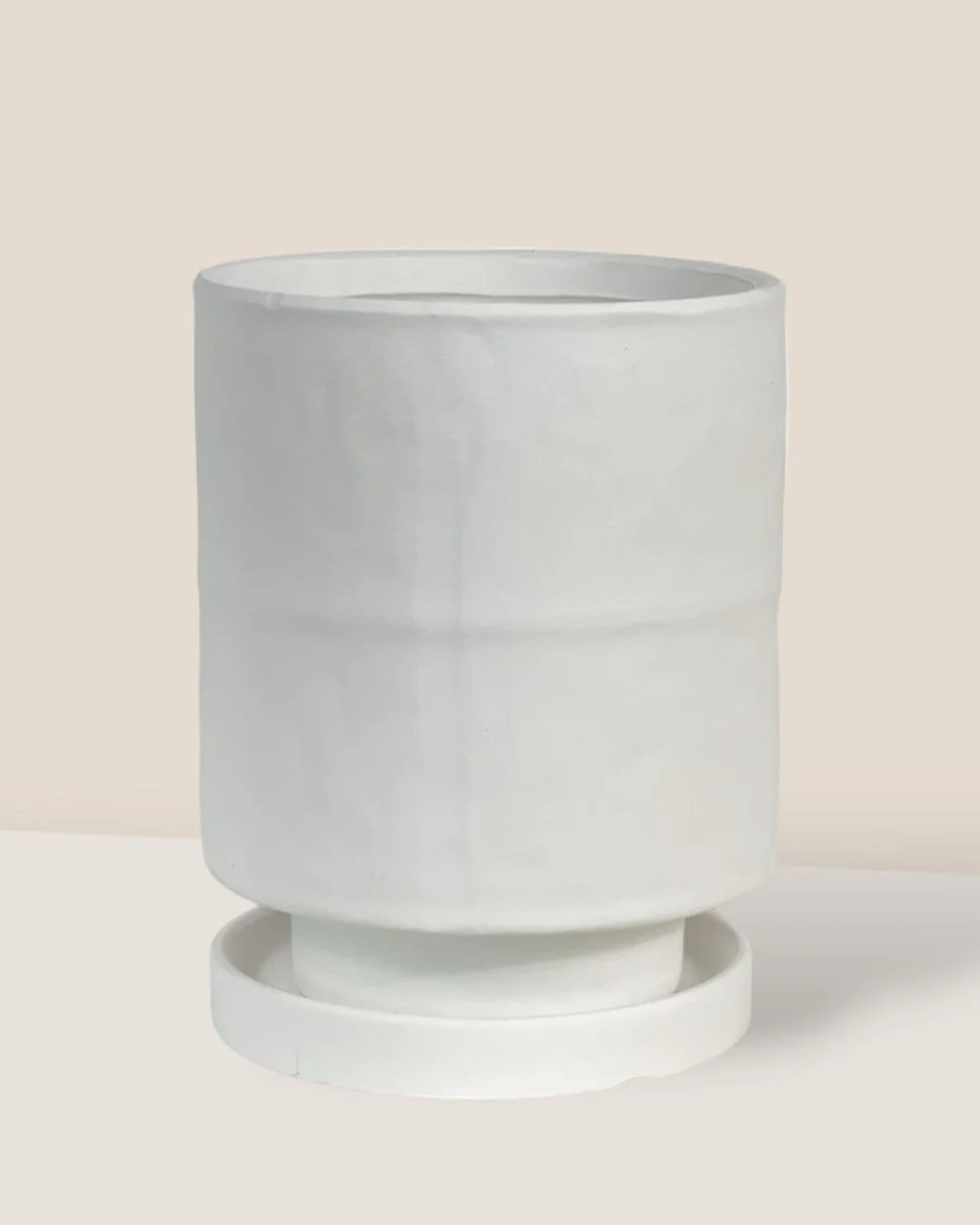 Tall Small Astra Pot - Image 16