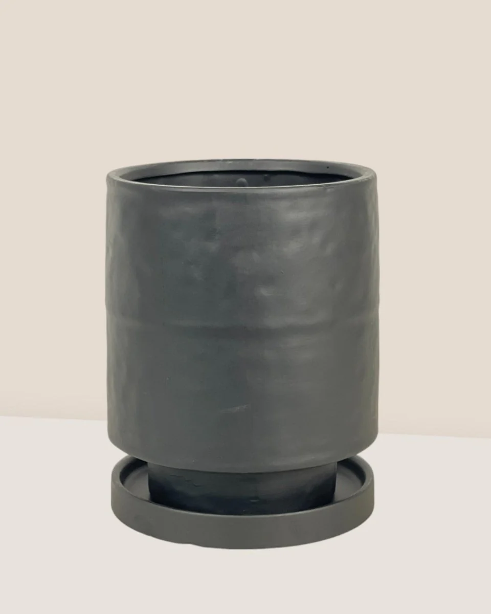 Tall Small Astra Pot - Image 28