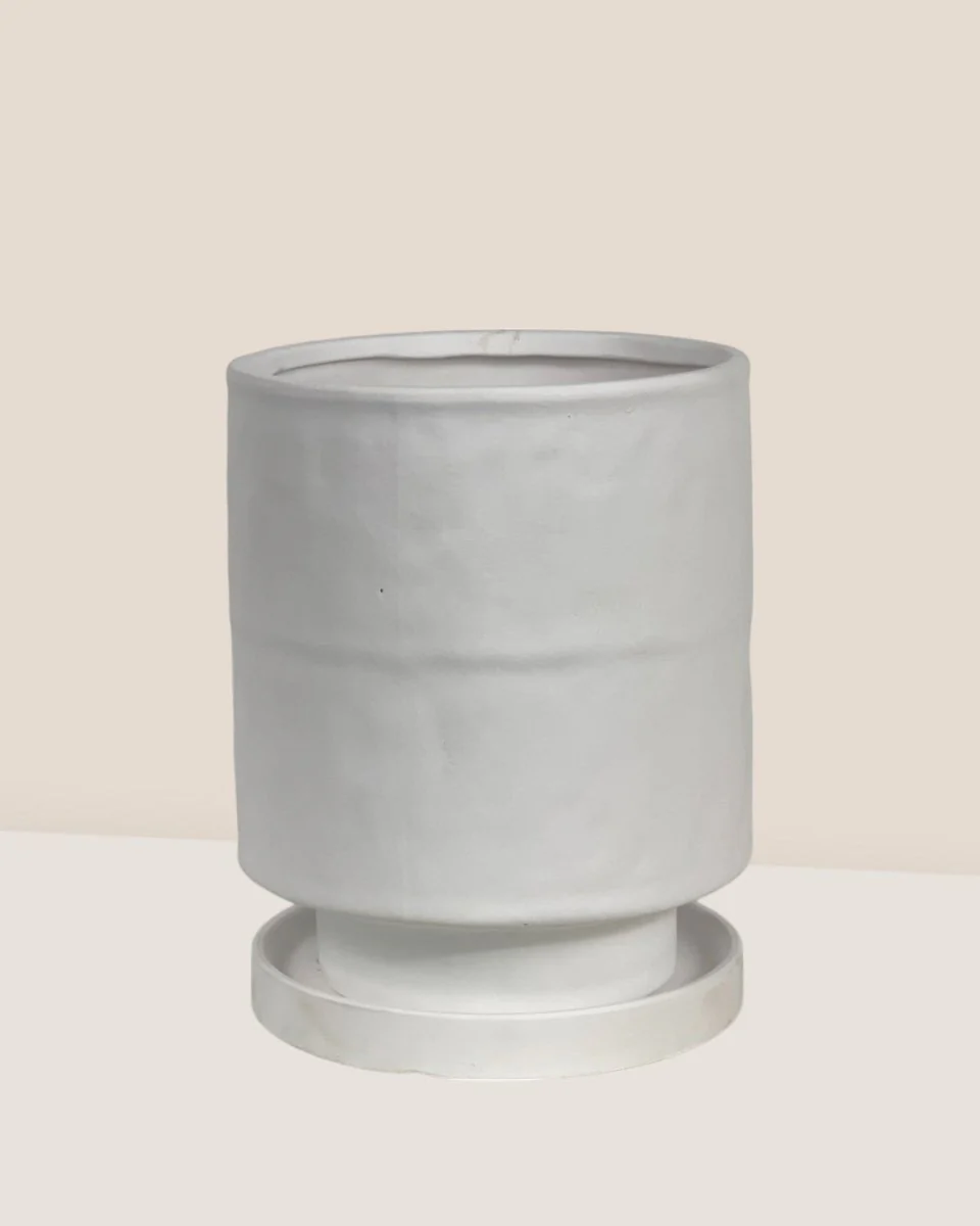 Tall Small Astra Pot - Image 31