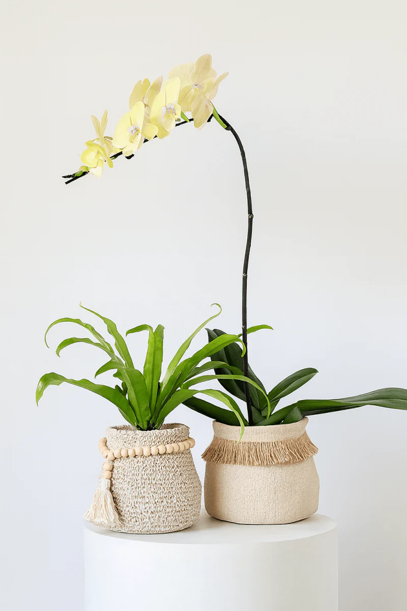 Tassel Pot
