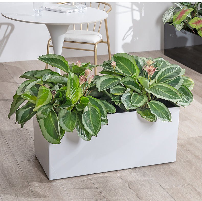 Planter BOX - Hydroease Planter Box