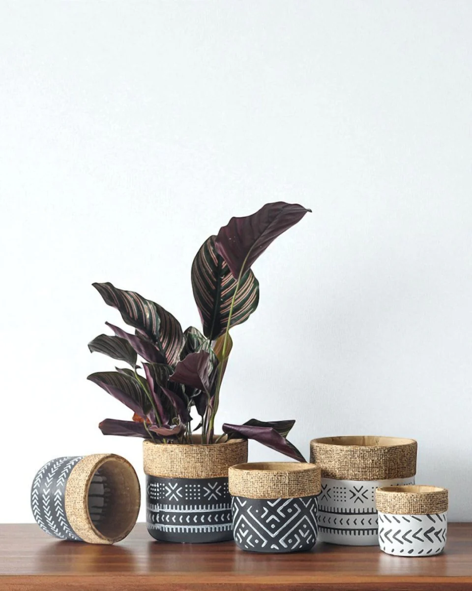 Tribal Planters - Small
