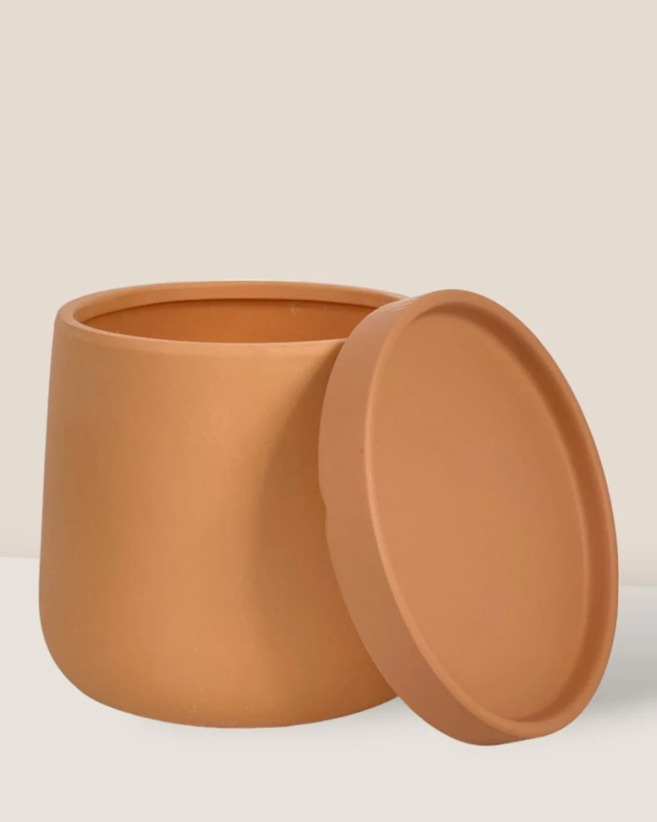 Tulip Terracotta - Small - Image 14