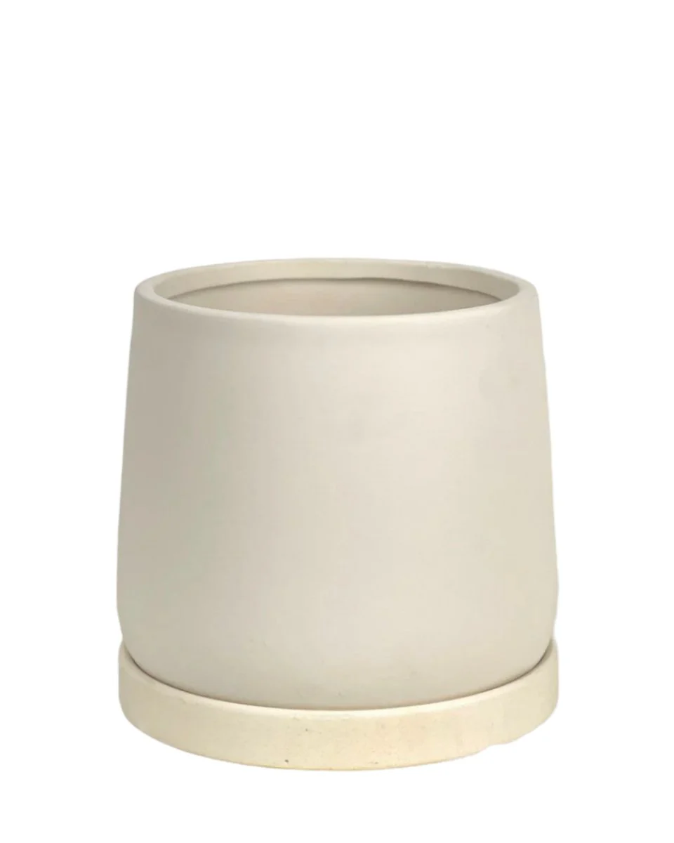 Tulip Terracotta - Small - Image 22