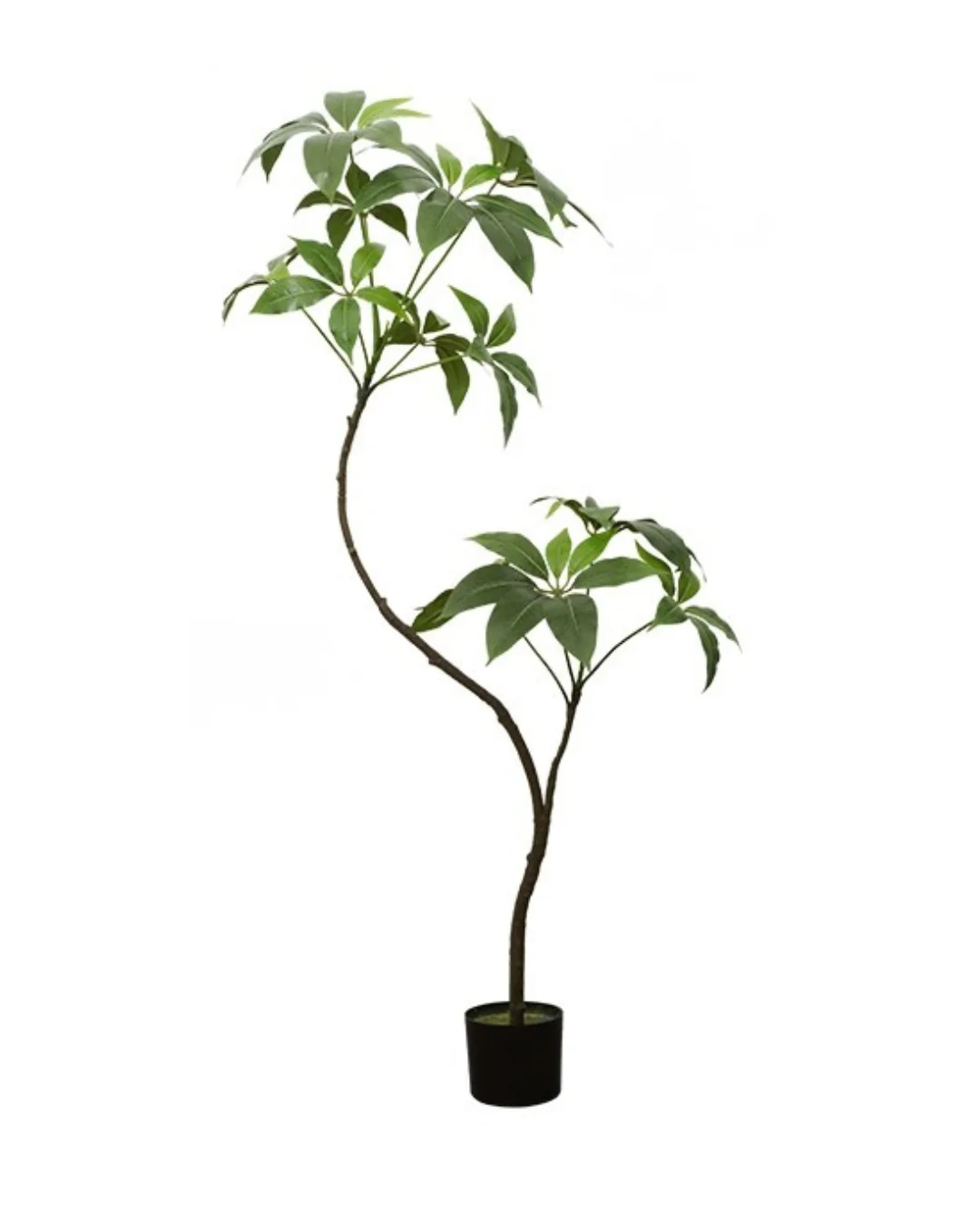 Umbrella Plant (Life-like Artificial) - Image 4