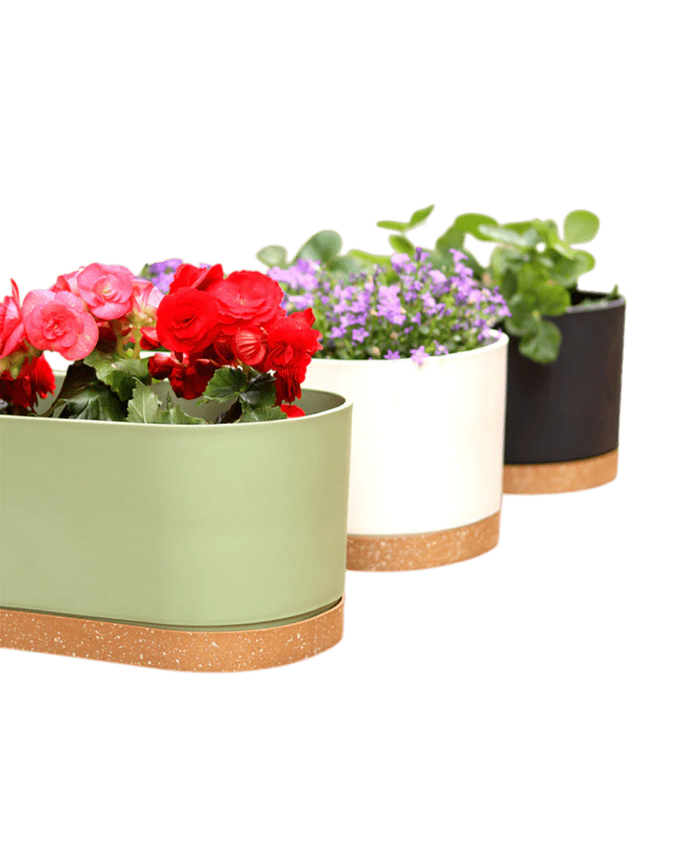 Verdant Rectangle Planter - Image 2