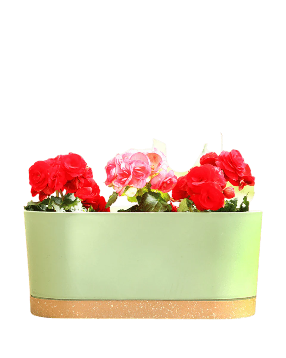 Verdant Rectangle Planter - Image 6