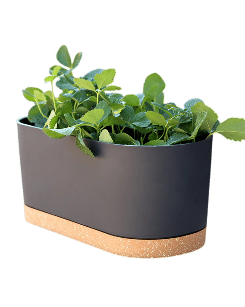 Verdant Rectangle Planter - Image 7
