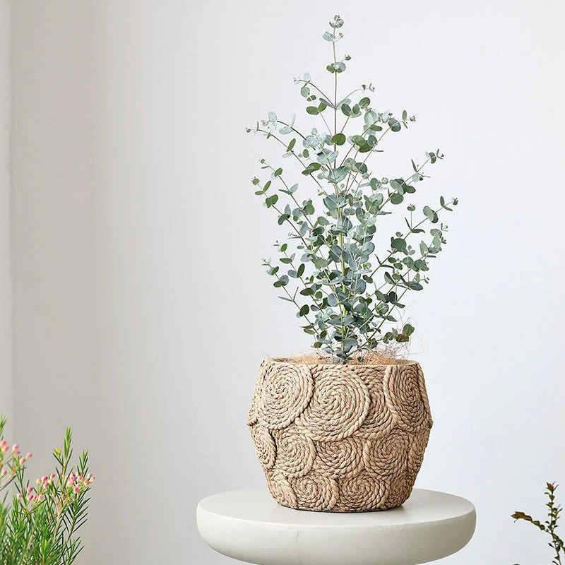 WeaveStone Pot - Medium