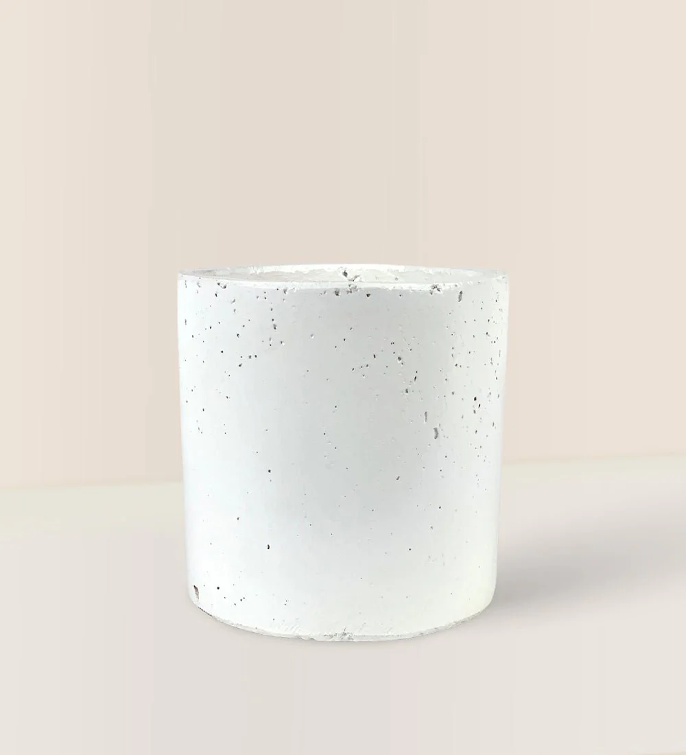 White Cement Pot