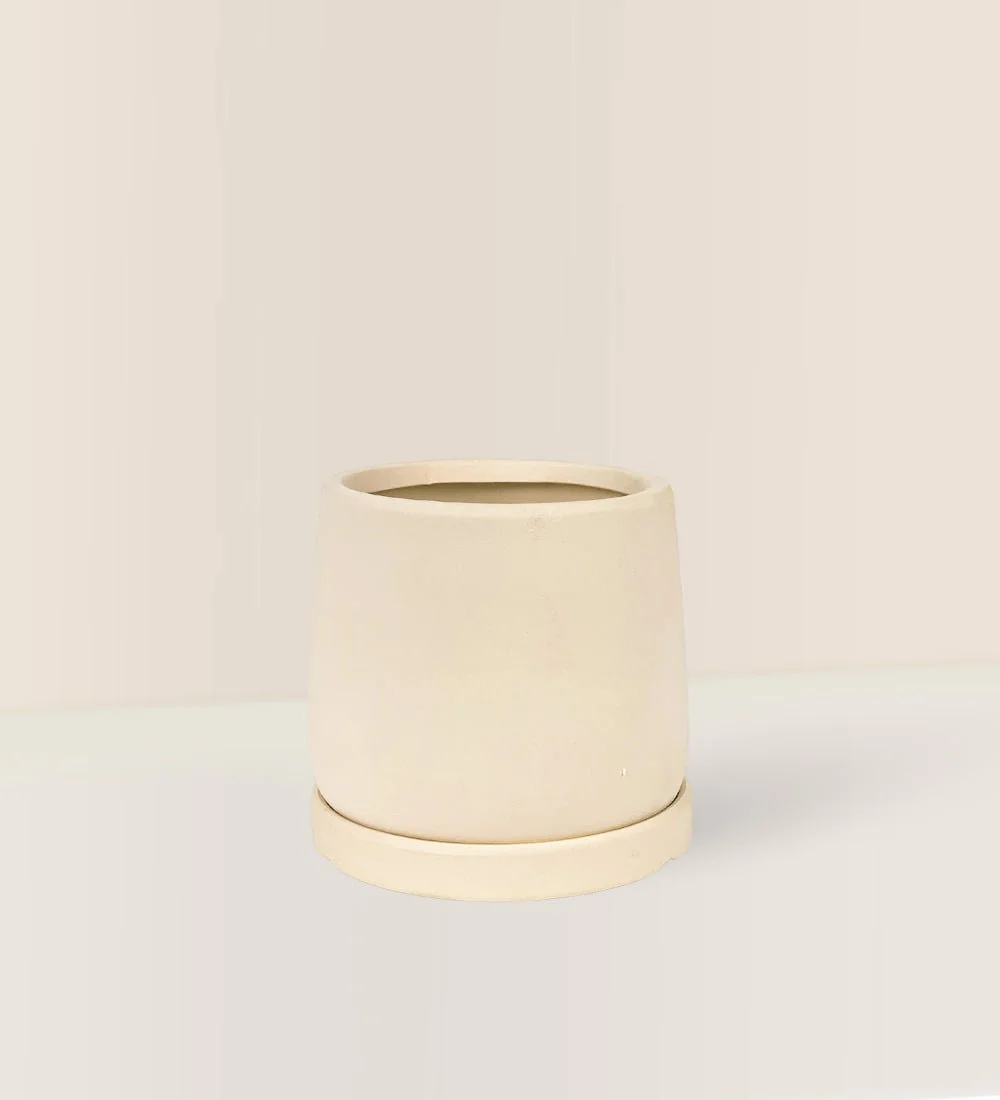 White Flour Planter