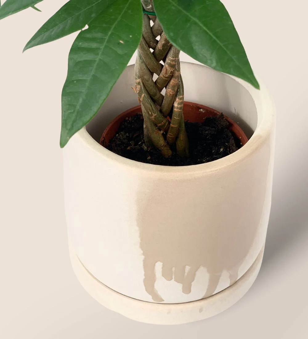 White Flour Planter - Image 3