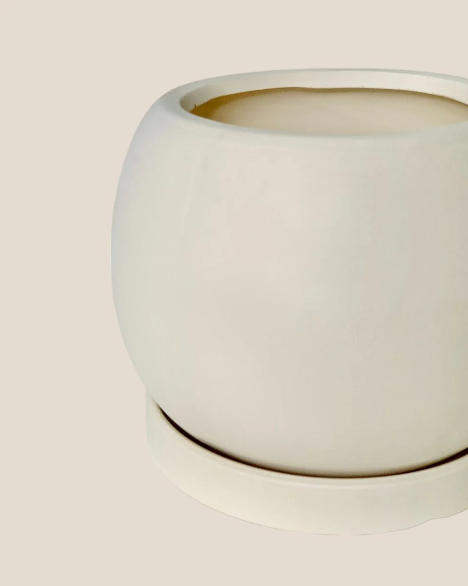White Flour Planter - Image 8