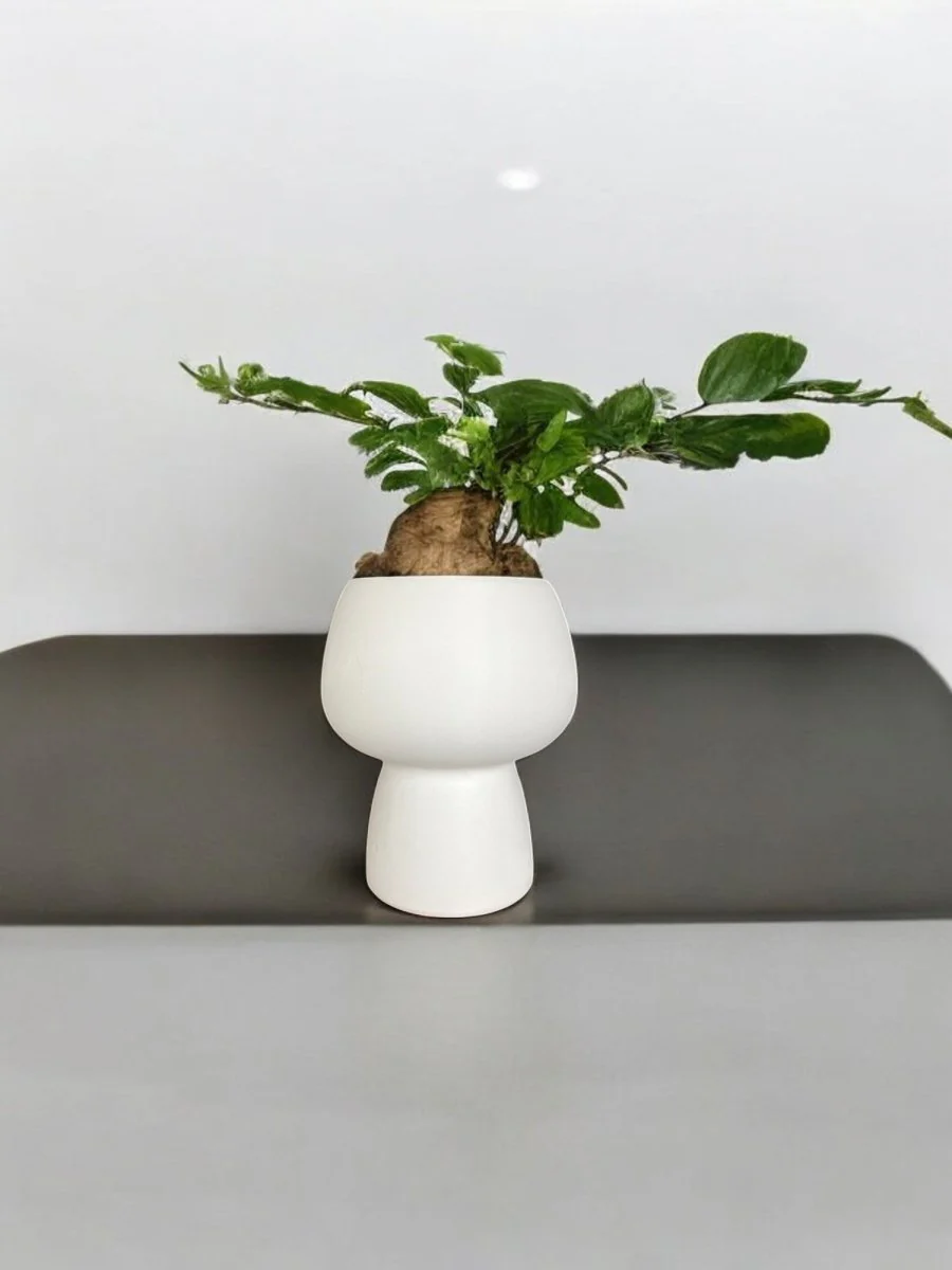 Ceramic White Sand Pot - Image 2
