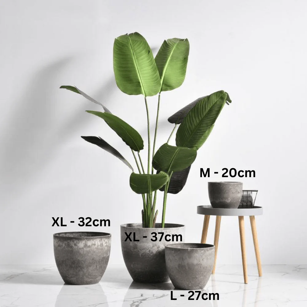 AirStone Egg Pots - XL - Image 6