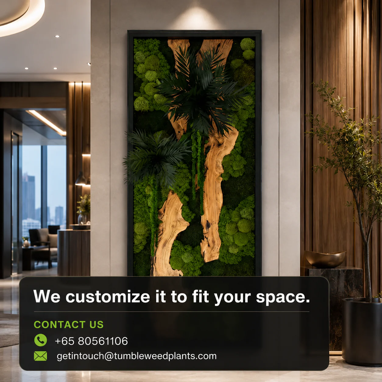 XL Frame - Preserved Plants: MOSS. - Image 30
