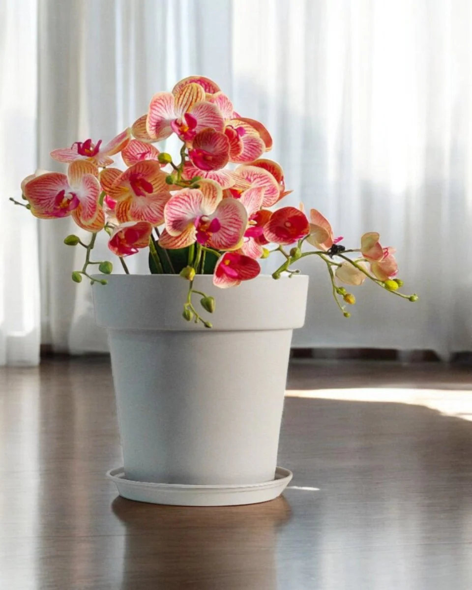 GAL Plastic Pots XL