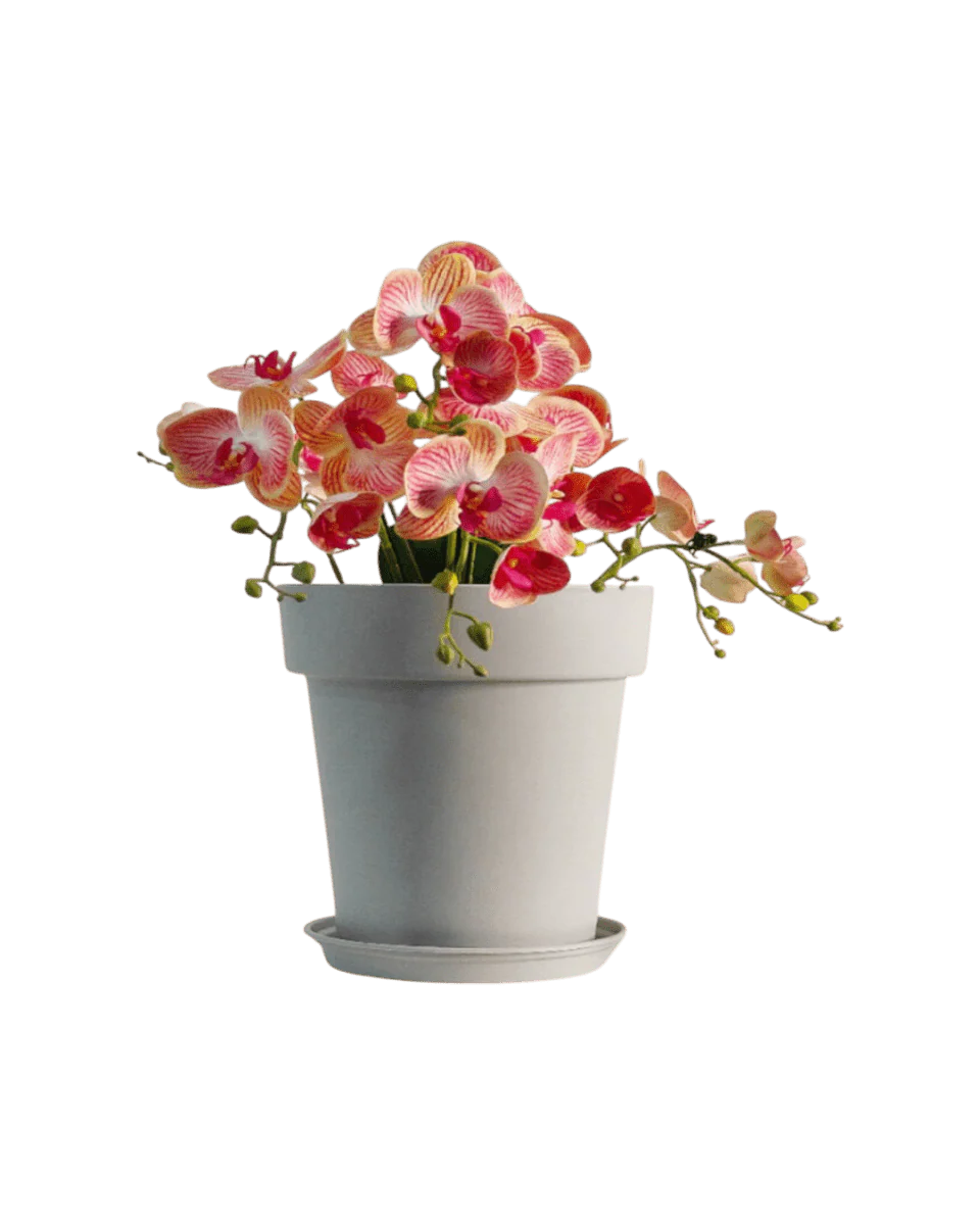 GAL Plastic Pots XL - Image 11
