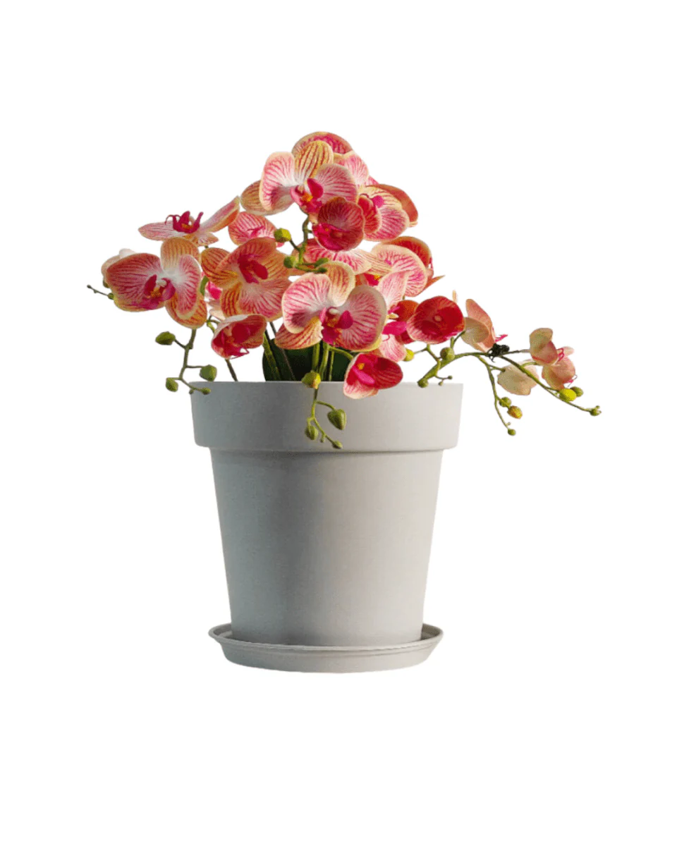 GAL Plastic Pots XL - Image 9