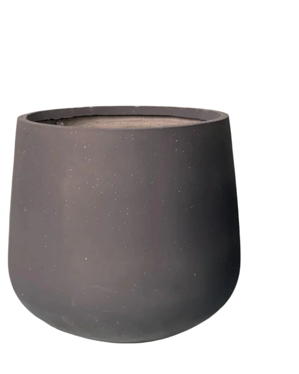 Sienna XXL - Image 6