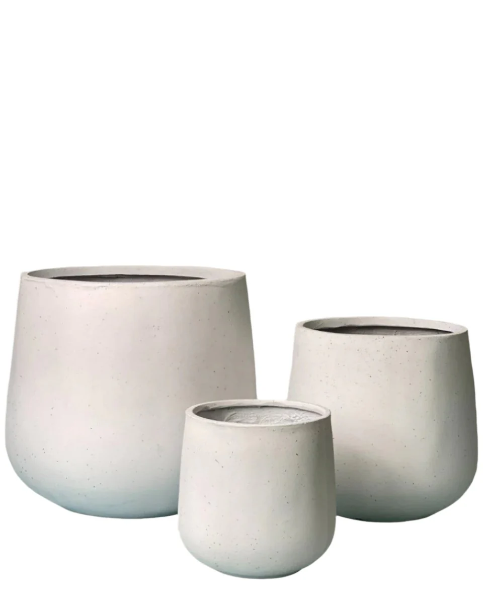 Sienna XXL - Image 8