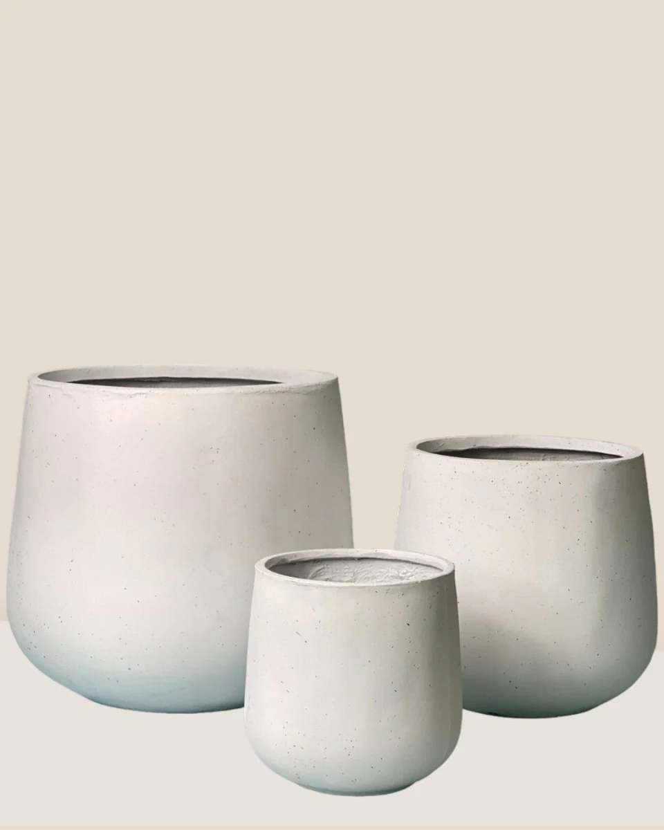 Sienna XL - Image 5