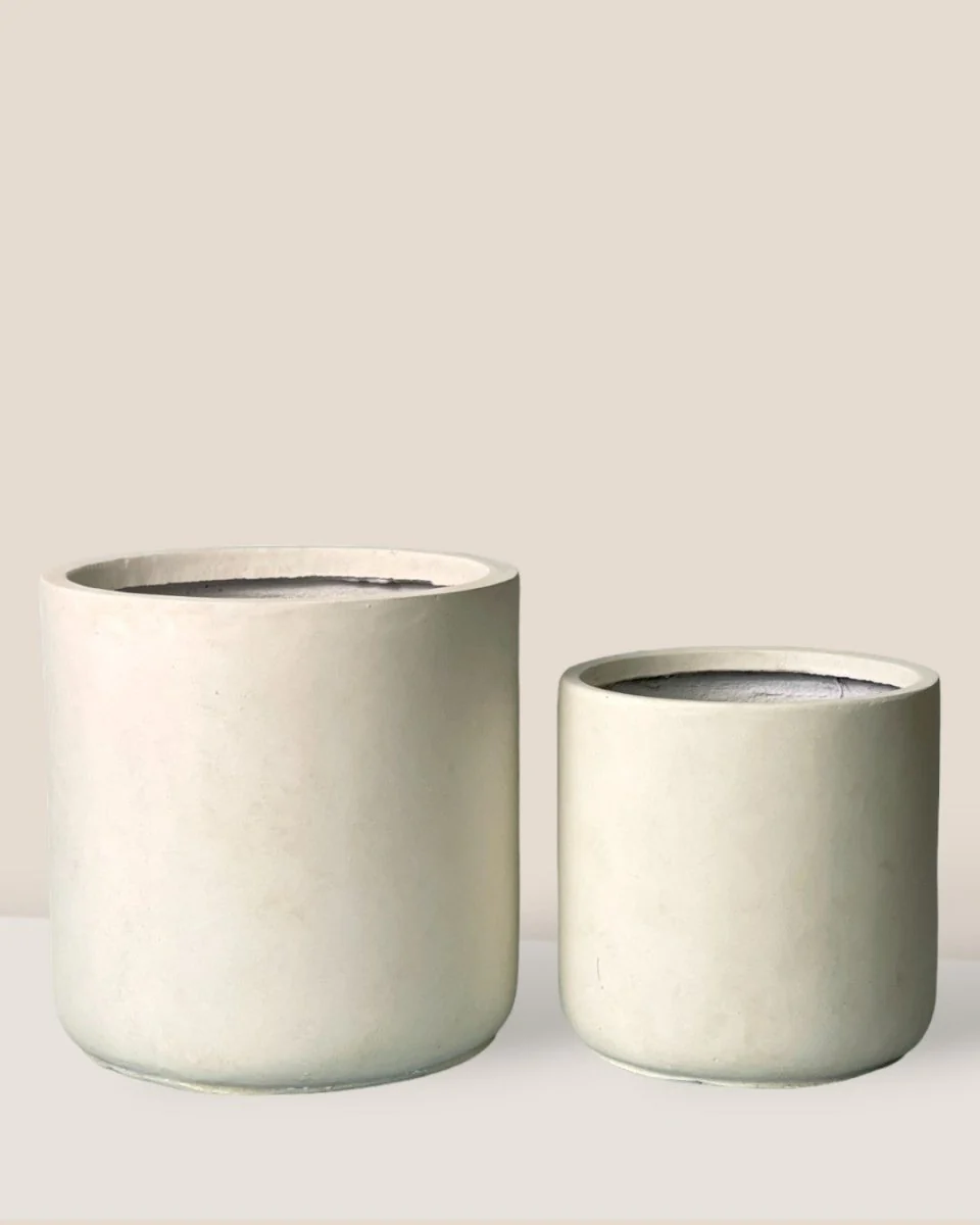 Elysia XXL - Image 2