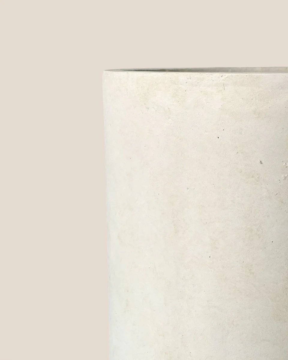 Elysia XXL - Image 3