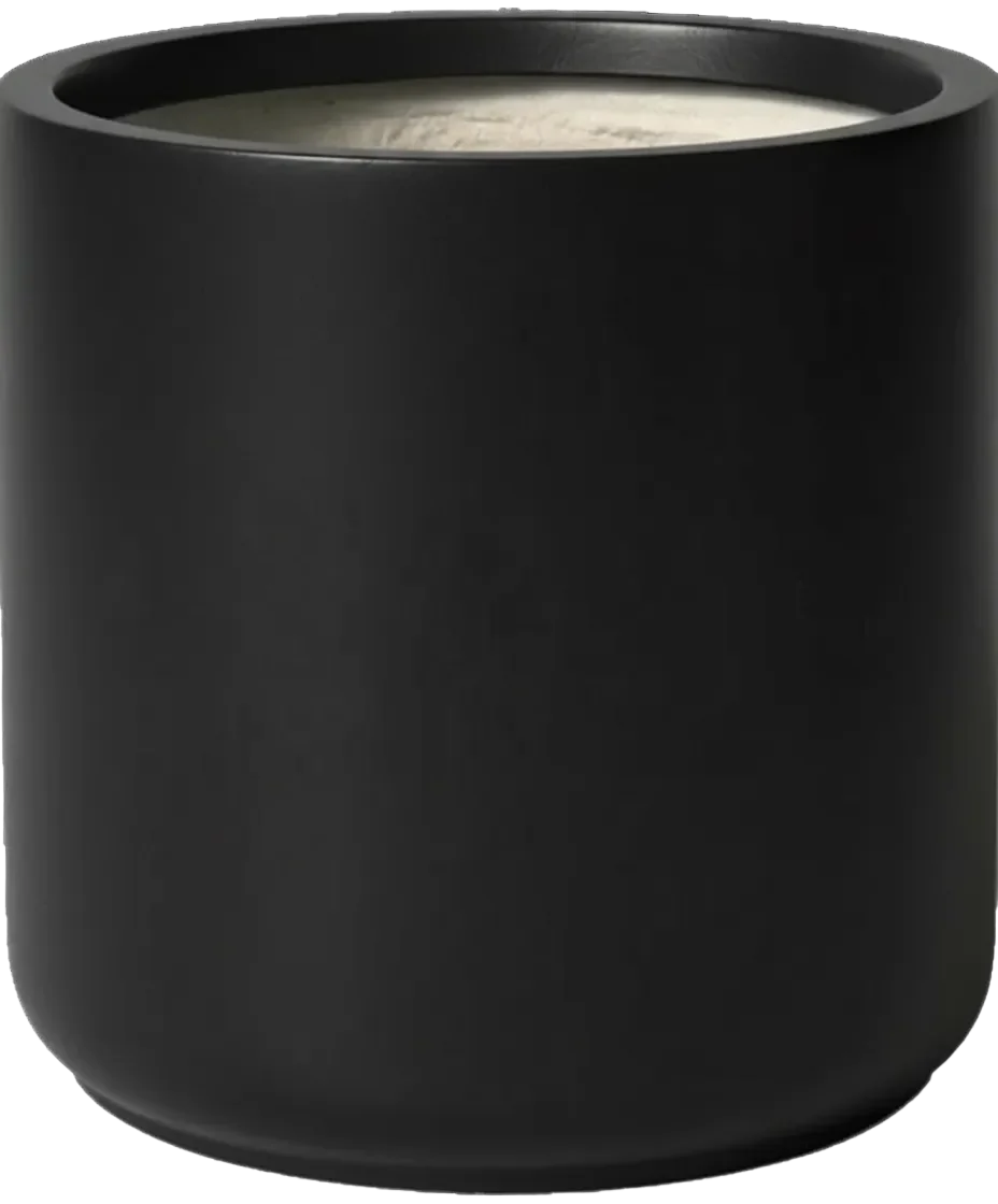 Elysia XXL - Image 5